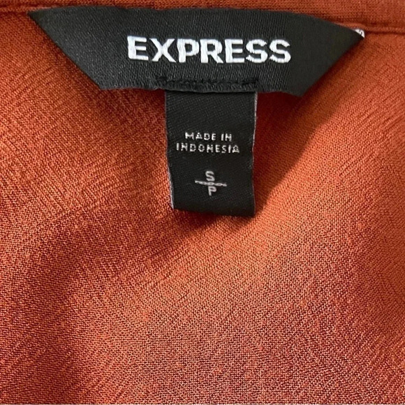 Express Burnt Orange Long Sleeve Blouse, Size Small, Lace-Like V-Neckline - Picture 3 of 10